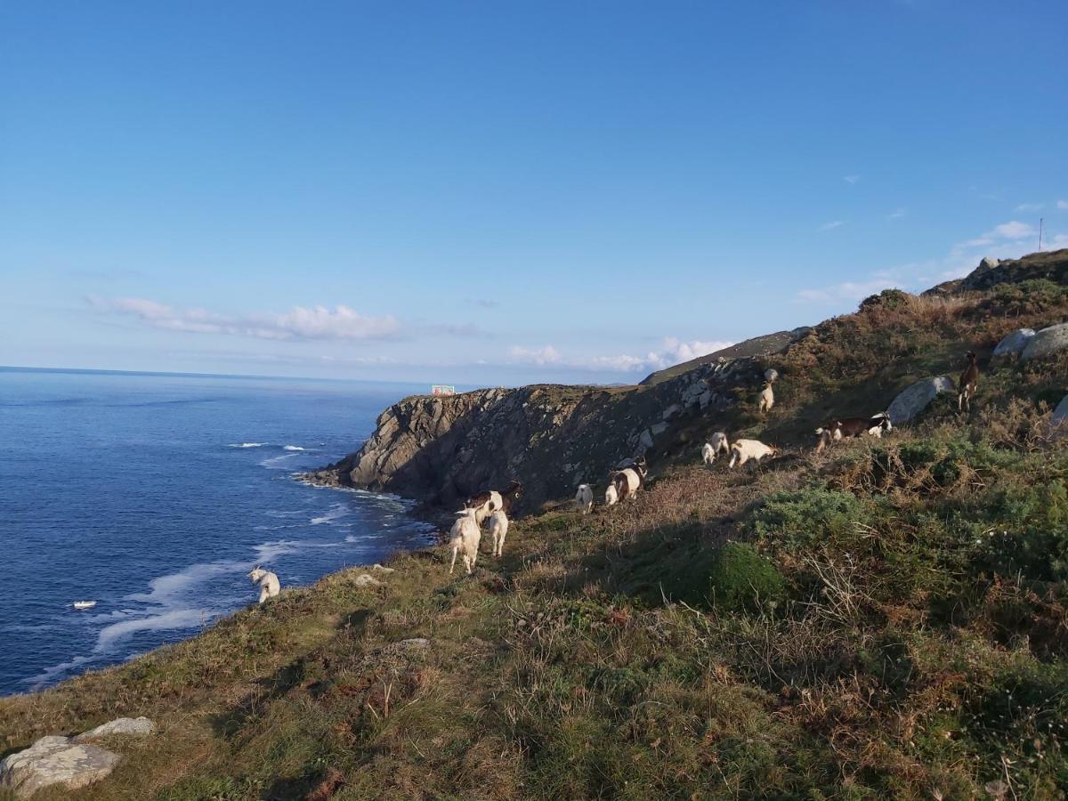 Hostal O Forno Porto do Barqueiro 外观 照片